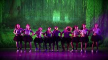 Rose Ballet - Promo Saggio 2017