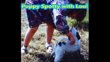 SPOTTY_WE_MISS_YOU_June_2017