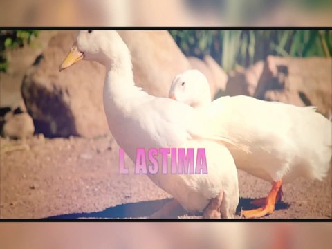 Lastima - Tavy el Cientifico (Extended 94 BPM)