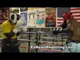lonnie adams future boxing star EsNews