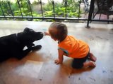 Bebek ile köpek muhteşem dostluk