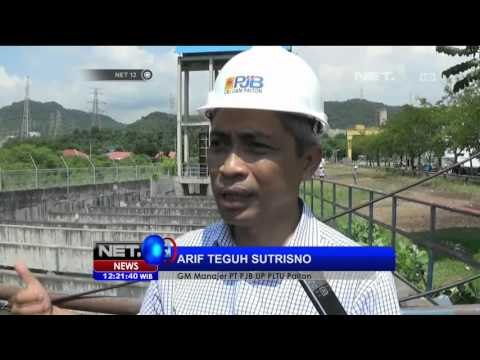 Fenomena Serangan Ubur Ubur di Probolinggo Merambah ke PLTU Paiton - NET12