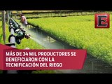 Tecnifican más de 440 mil hectáreas agrícolas en México