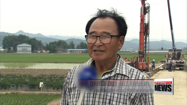 Continued drought causes water shortages and insect problems across Korea