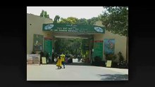 Spooky Haunted Haunted Places In India   Real Ghost Videos   Real Ghost Stories--j9Qxo1cpuc