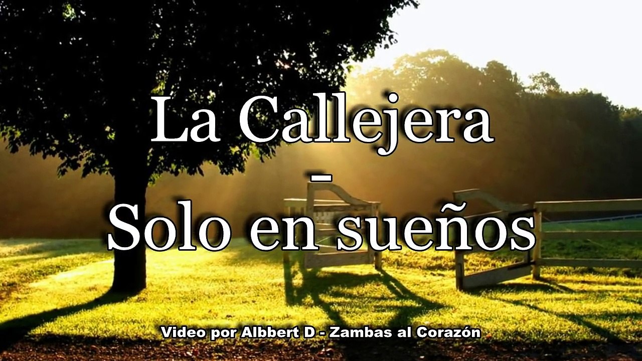 La Callejera - Solo en sueños (Zamba)