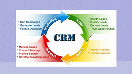 What Facts makes a CRM accessible for Businesses?
