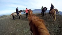 Horse Riding - Icelandic Horses for Kid