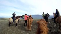 Horse Riding - Icelandic Horses for Kids