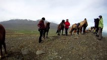 Horse Riding - Icelandic Horses for Kids