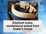 Elephant Tusks, Sandalwood Seized From Trader's House  | Oneindia Kannada