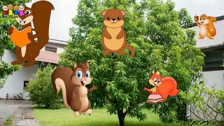 Gorilla-Squirrel -Pineapple-Dog Finger Family Poem   Funny 2D Videos