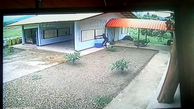 On a trouvé le pire cambrioleur du monde... Fail bien ridicule