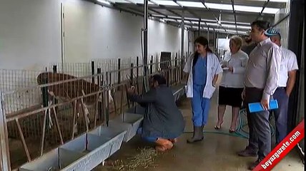 Bu proje Türkiye'nin 600 milyon euroluk zararını önleyecek