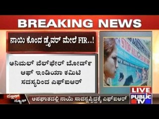 Dog Dies Due To The Dont-Care Attitude Of A School Bus Driver