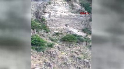 PKK'ya Ait 4 Odalı Mağara Bulundu