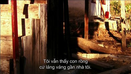 #Geo documentary Animals hd The truth about man eating Komodo dragon