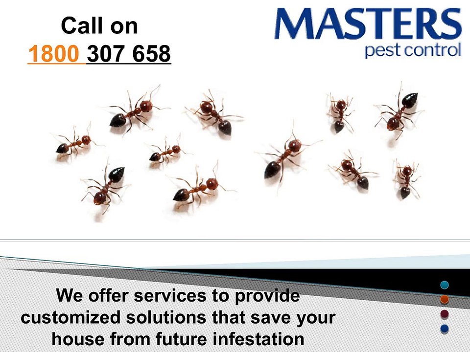 Commercial_Pest_Control_in_Melbourne
