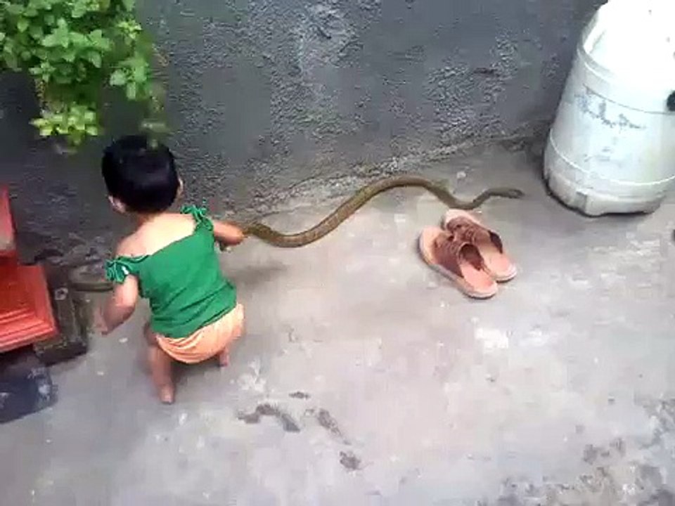 young kid play with snake