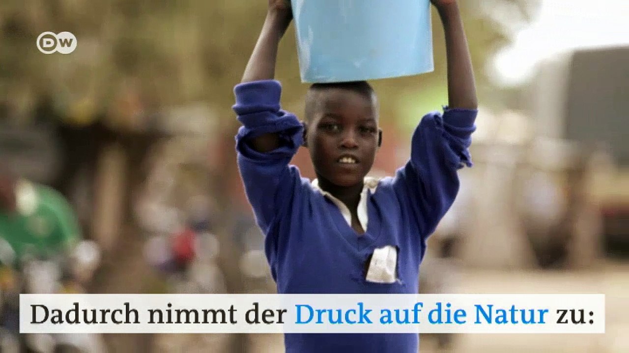 Serengeti: Kampf um den Lebensraum | DW Deutsch