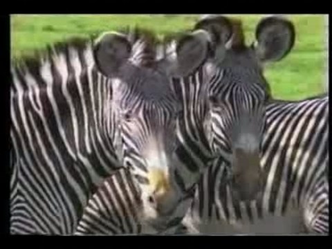 Terriens - earthlings partie 1 / 10