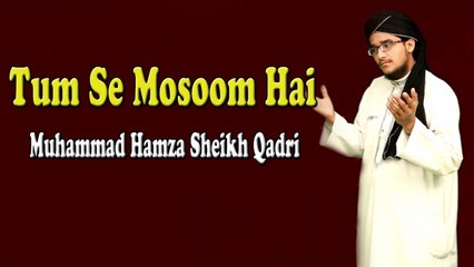 Muhammad Hamza Sheikh Qadri - Tum Se Mosoom Hai