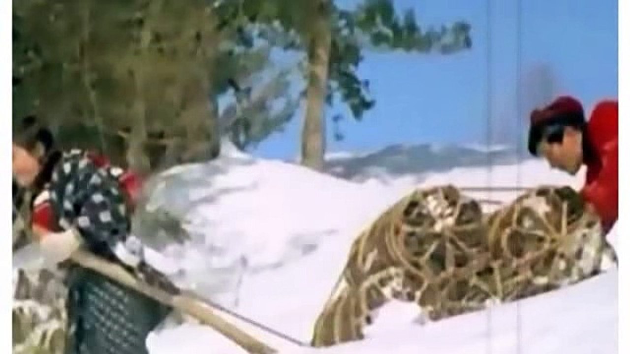 愛の新雪  舟木一夫 Funaki Kazuo　