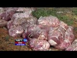 Daging Ayam Busuk Beredar di Pasaran - NET16