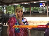 Banaskantha: Animal husbandry becomes greatest boon for this woman - Tv9 Gujarati