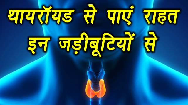 Ayurvedic herbs for Thyroid | इन आयुर्वेदिक जड़ीबूटियों से पाएं थायरॉयड से राहत | Boldsky