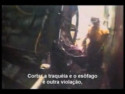 Earthlings -Terriens partie 3 / 10