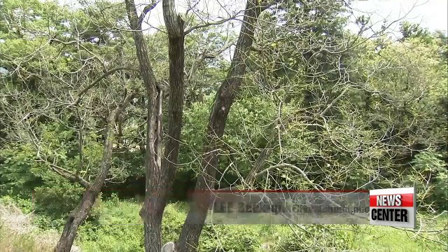 Continued drought causes water shortages and insect problems across Korea