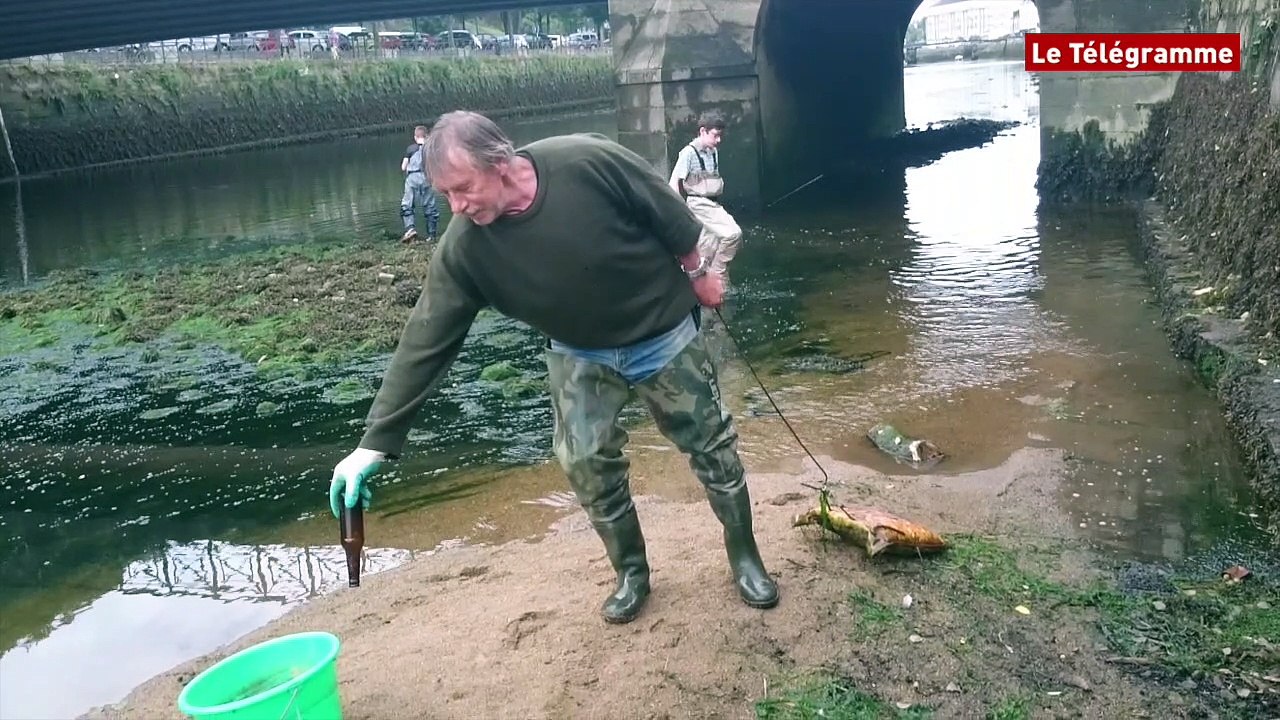 Quimper. L'Odet se fait propre avant la fête
