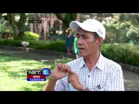 Koleksi Burung Langka Indonesia di TMII - NET12