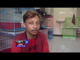 Jelang Lebaran, Penitipan Kucing di Banda Aceh Meningkat - NET24