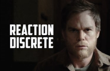 Understanding Discrete Reaction Dynamics