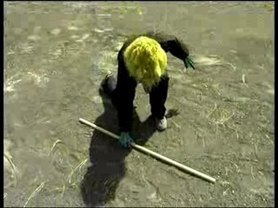 WALKING MASTER épisode 1