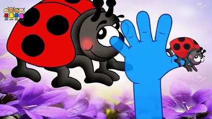 Baby Rhymes   Tomato- Brinjal-Watermelon-