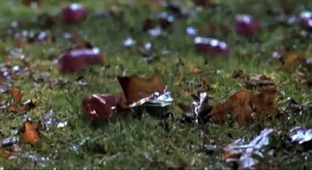 Horribilis - Bande-annonce