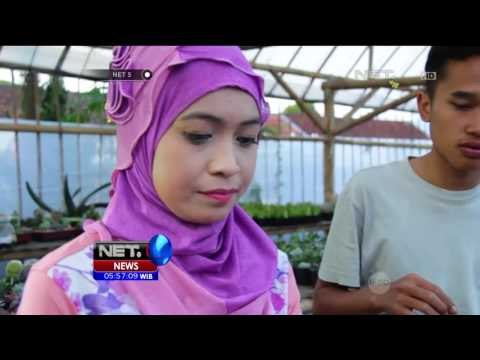 Parsel Tanaman, Taman Cantik Dalam Wadah - NET5