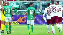 Palmeiras 3 x 1 Fluminense (COMPLETO) Gols & Melhores Momentos Brasileirão (10/06/2017)