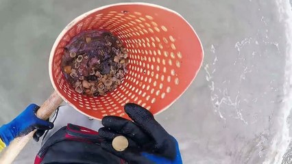 Cacando Joias e objetos metalicos nas praias # 02 Caioba praia mansa