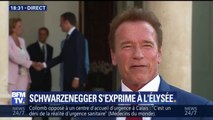 Schwarzenegger: l'environnement 