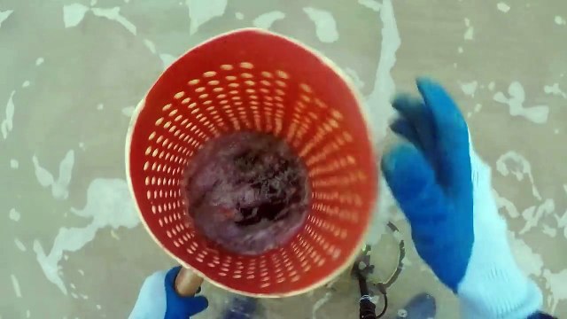 Cacando Joias e objetos metalicos nas praias # 03 Caioba praia brava