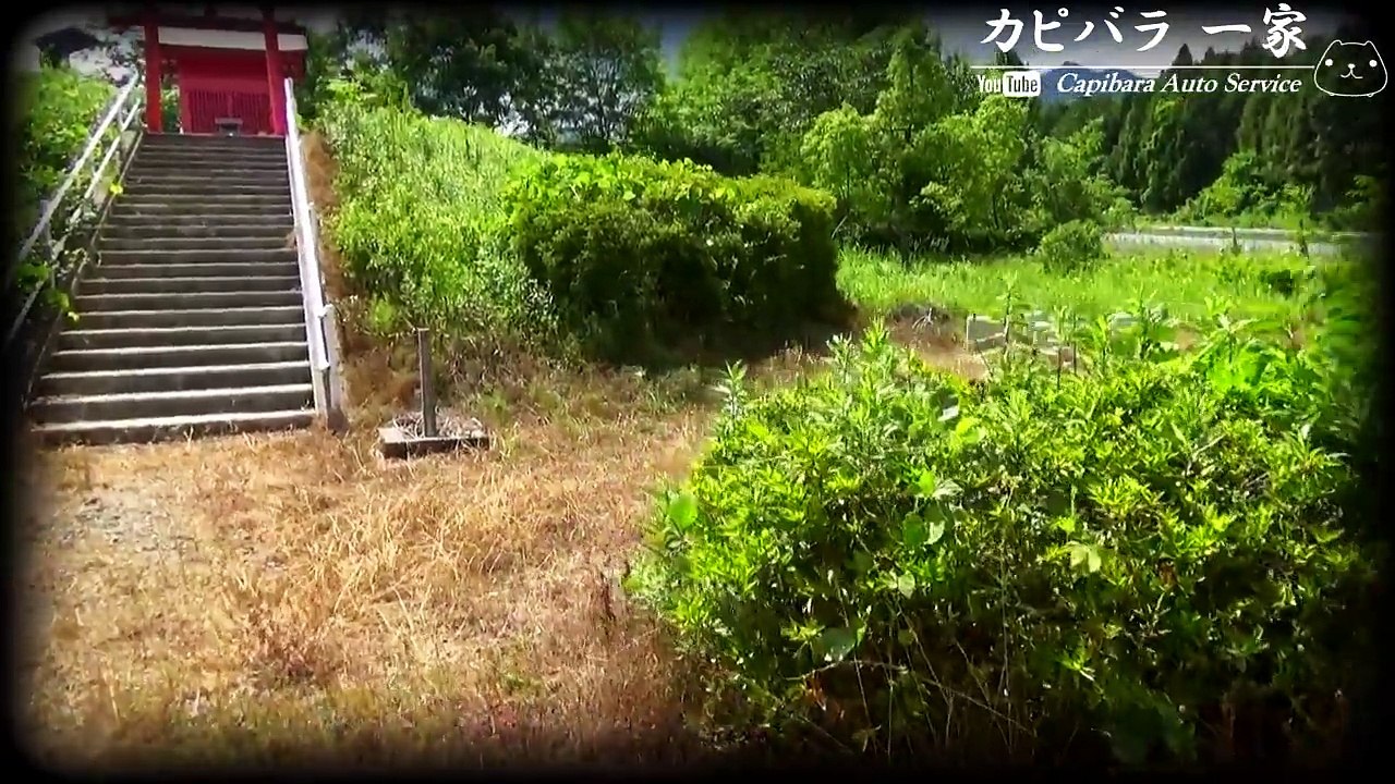 【裏名所】一人でイクのは危険！高速道路廃道！カピバラ一家代表のぶらり裏名所の旅（心霊スポット？）