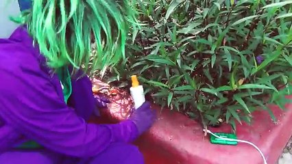 Бомбить Эльза Веселая имеет килектор в в в в жизнь пагубный реальная человек-паук