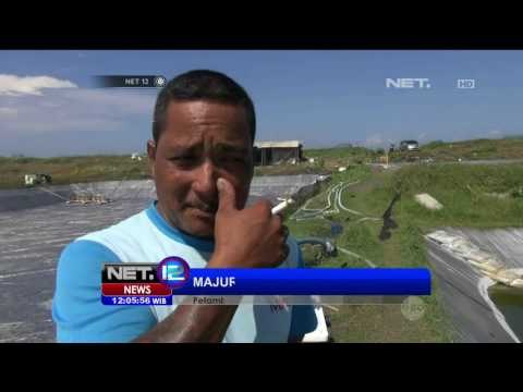 Dampak Cuaca Buruk Hasil Panen Udang Turun - NET12