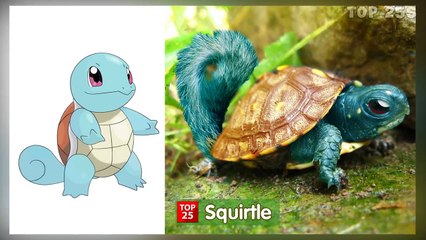 Pokemon In Real Life 2017 | Top 25s | All Characters