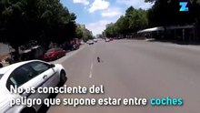 Arriesgándose para salvar a un perro