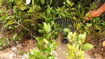 Amazing Electric Fan Guard Snake Trap How To Catch Water Snake In Cambodia
